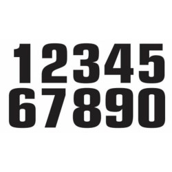 Numéro de course 8 TECNOSEL...