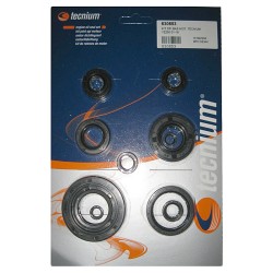 Jeu de joints spi moteur...