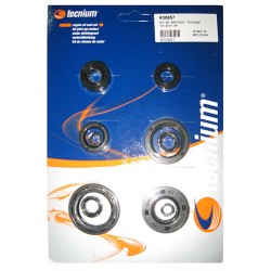 Jeu de joints spi moteur...