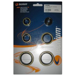 Jeu de joints spi moteur...