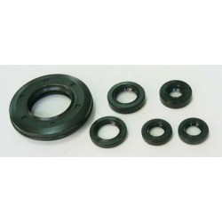 Jeu de joints spi moteur...