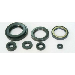 Jeu de joints spi moteur...