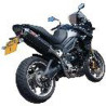 Silencieux Premium Rond Carbone Scorpion Tiger 1050 Triumph