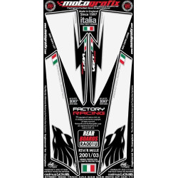 Kit Déco Arrière Motografix 1000 Tuono Aprilia