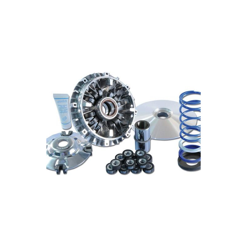 Variateur Maxi Seed 12 Galets Evo 3 Polini Avec Poulie Pour 500