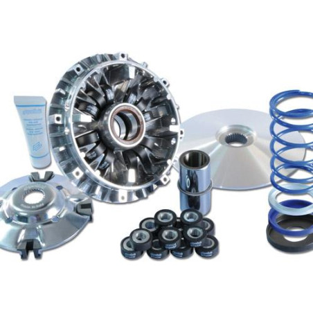 Variateur Maxi Seed 12 Galets Evo 3 Polini Avec Poulie Pour 500