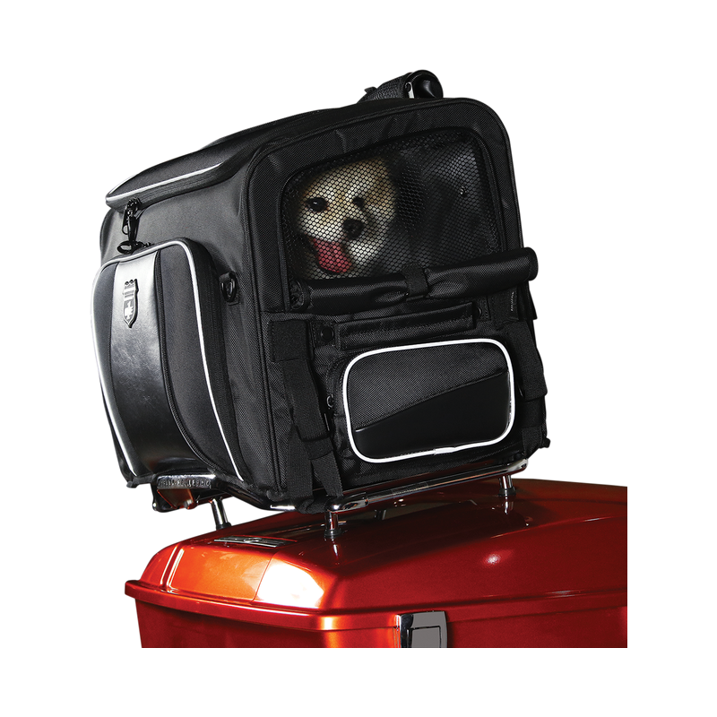 Sac Moto de transport pour animaux