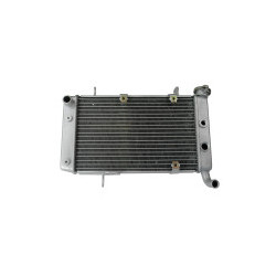Radiateur Capacité d Origine 400 DVX Artic cat