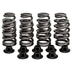 Kit Ressorts De Soupapes RZR 1000 XP Polaris