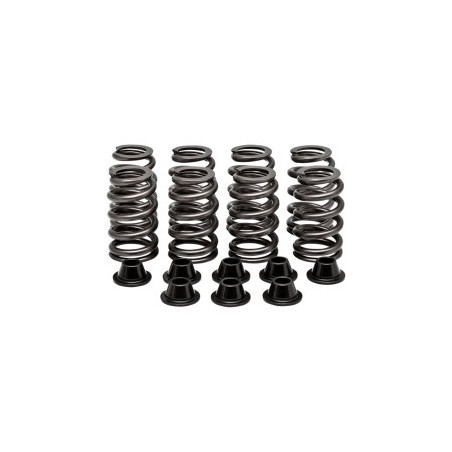 Kit Ressorts De Soupapes RZR 1000 XP Polaris