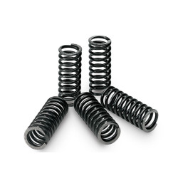 Kit Ressorts d'Embrayage Origine 700 Raptor YFM Yamaha