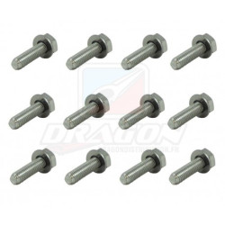 Kit Visserie Jante Beadlock 10 pouces Goldspeed