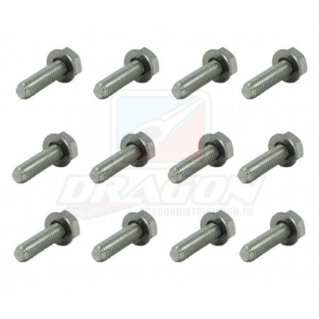 Kit Visserie Jante Beadlock 10 pouces Goldspeed