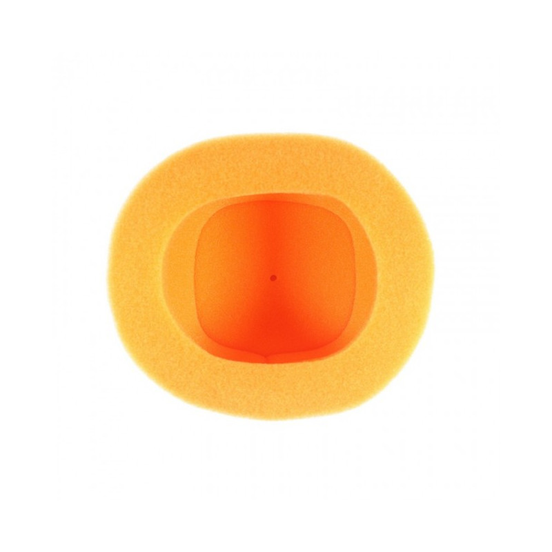 Filtre à air TWIN AIR Standard Yamaha YFM250R Raptor