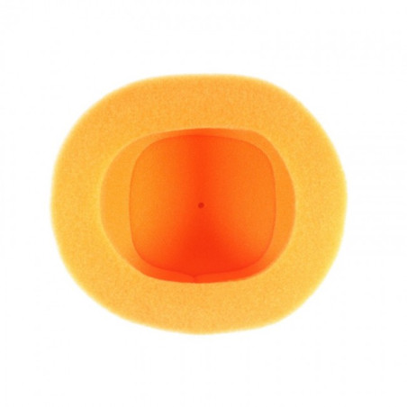 Filtre à air TWIN AIR Standard Yamaha YFM250R Raptor