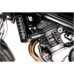 Kit de patins de cadre. Noir. BMW F 800 R (09-14)