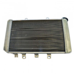 Radiateur Compétition IROD RZR 800 Polaris 2007 à 2011