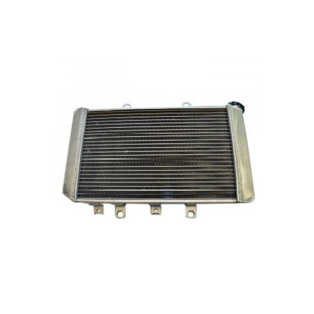 Radiateur Compétition IROD RZR 800 Polaris 2007 à 2011