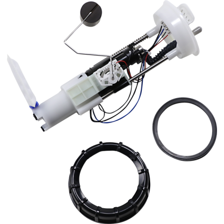 Pompe A Essence Complète RZR 570 et 800 Polaris de 2014 et +