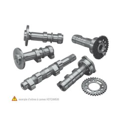 Arbre à cames admission HOT...