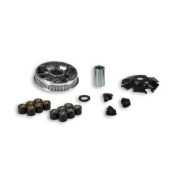 Variateur MALOSSI Multivar...