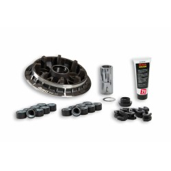 Variateur MALOSSI Multivar...