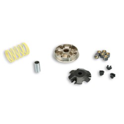 Variateur MALOSSI Multivar...