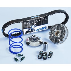 Variateur POLINI Hi-Speed -...