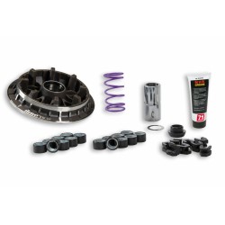 Variateur MALOSSI 2000 MHR...