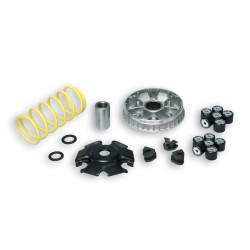 Variateur MALOSSI Multivar...