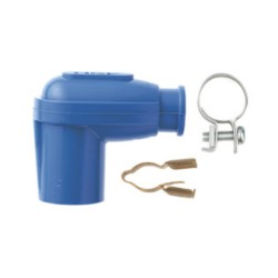 Anti-parasite NGK Bleu -...