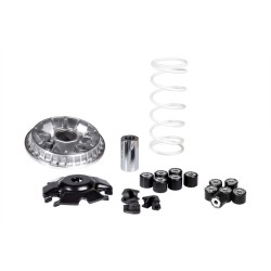 Variateur MALOSSI Multivar...