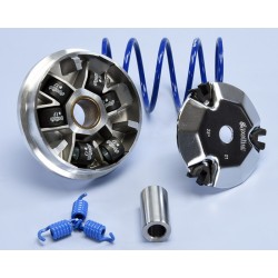 Variateur POLINI - Peugeot...