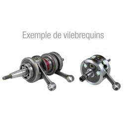 Vilebrequin complet HOT...