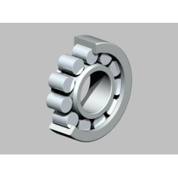 Roulement de vilebrequin...