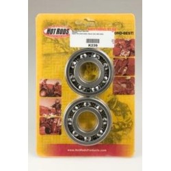 Kit roulements et joints...