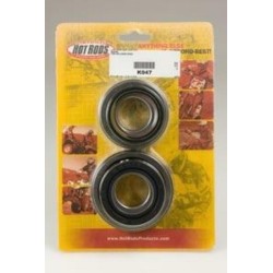 Kit roulements et joints...