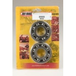 Kit roulements et joints...