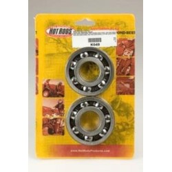 Kit roulements et joints...