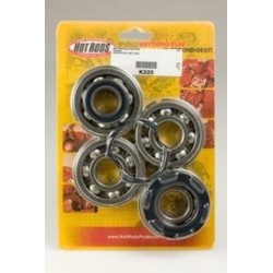 Kit roulements et joints...