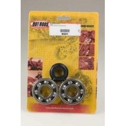 Kit roulements et joints...