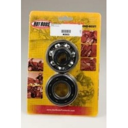 Kit roulements et joints...
