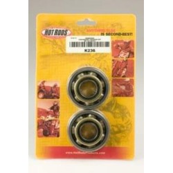 Kit roulements et joints...