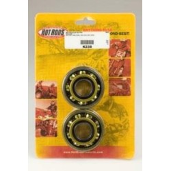 Kit roulements et joints...