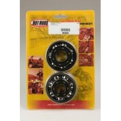 Kit roulements et joints...