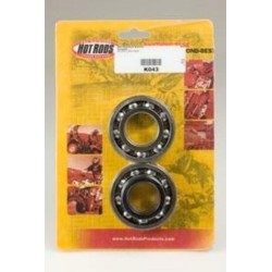 Kit roulements et joints...