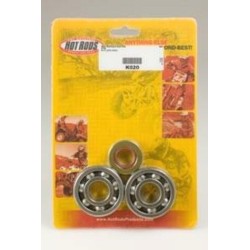 Kit roulements et joints...