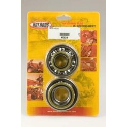 Kit roulements et joints...