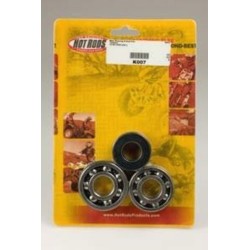 Kit roulements et joints...