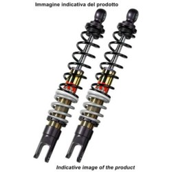 Bi-Amortisseur BITUBO YRB02...